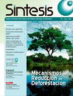 Síntesis No. 1 Mecanismos de Reducción de Deforestación