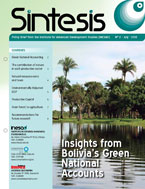 Sintesis No 2: Insights from Bolivia's Green National Accounts